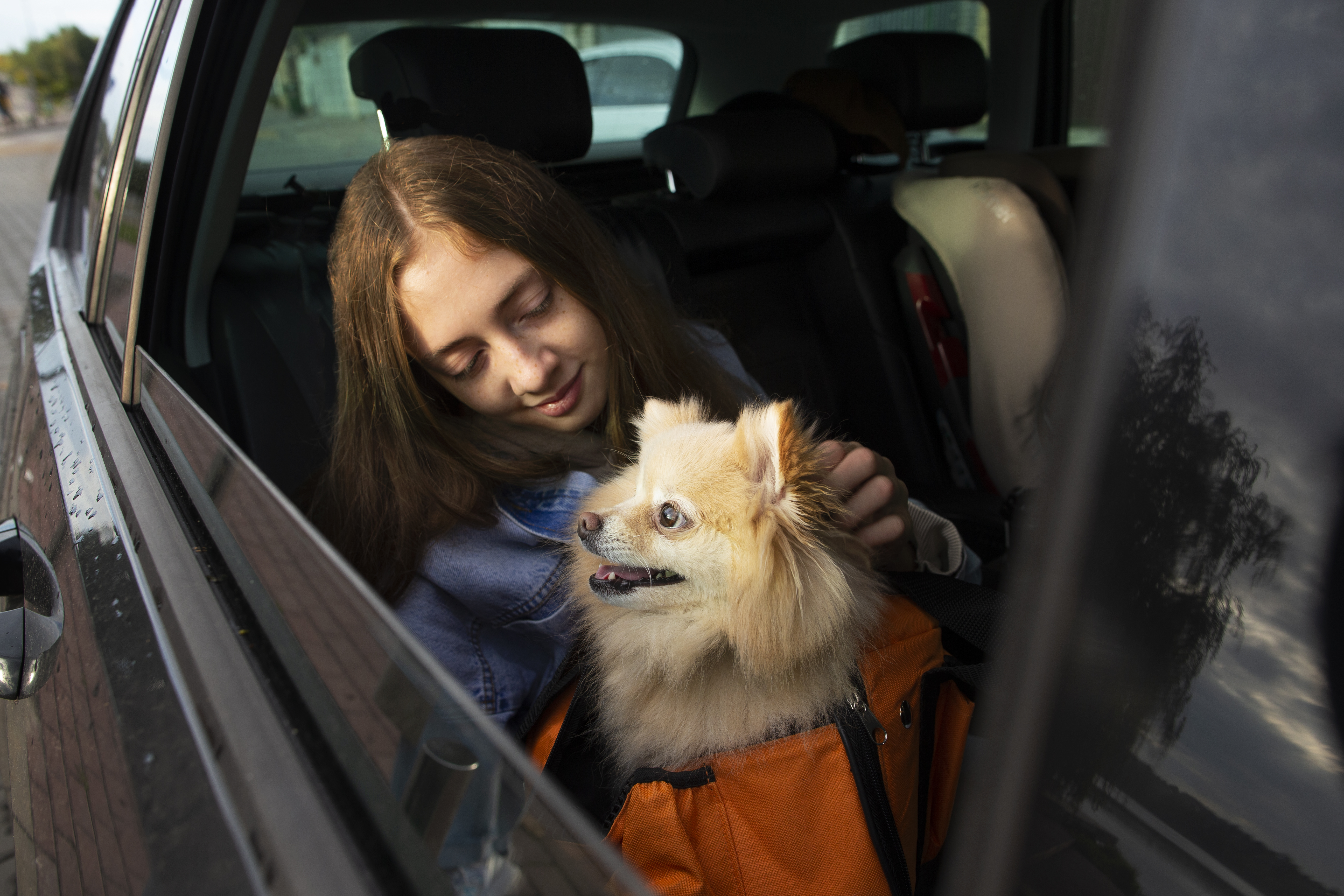 Pet Friendly Taxi